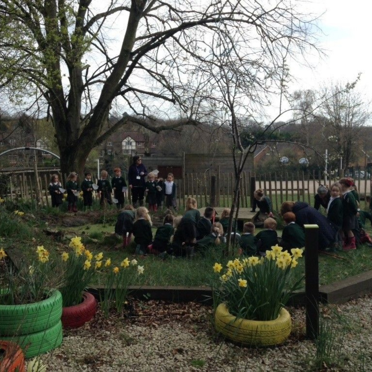 Borough Green Primary School - Nature Area